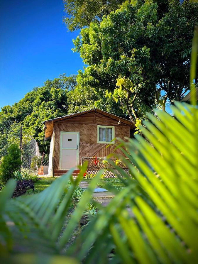 Hotel O Royal Tree Cafe And Resort Ντεχραντούν Εξωτερικό φωτογραφία