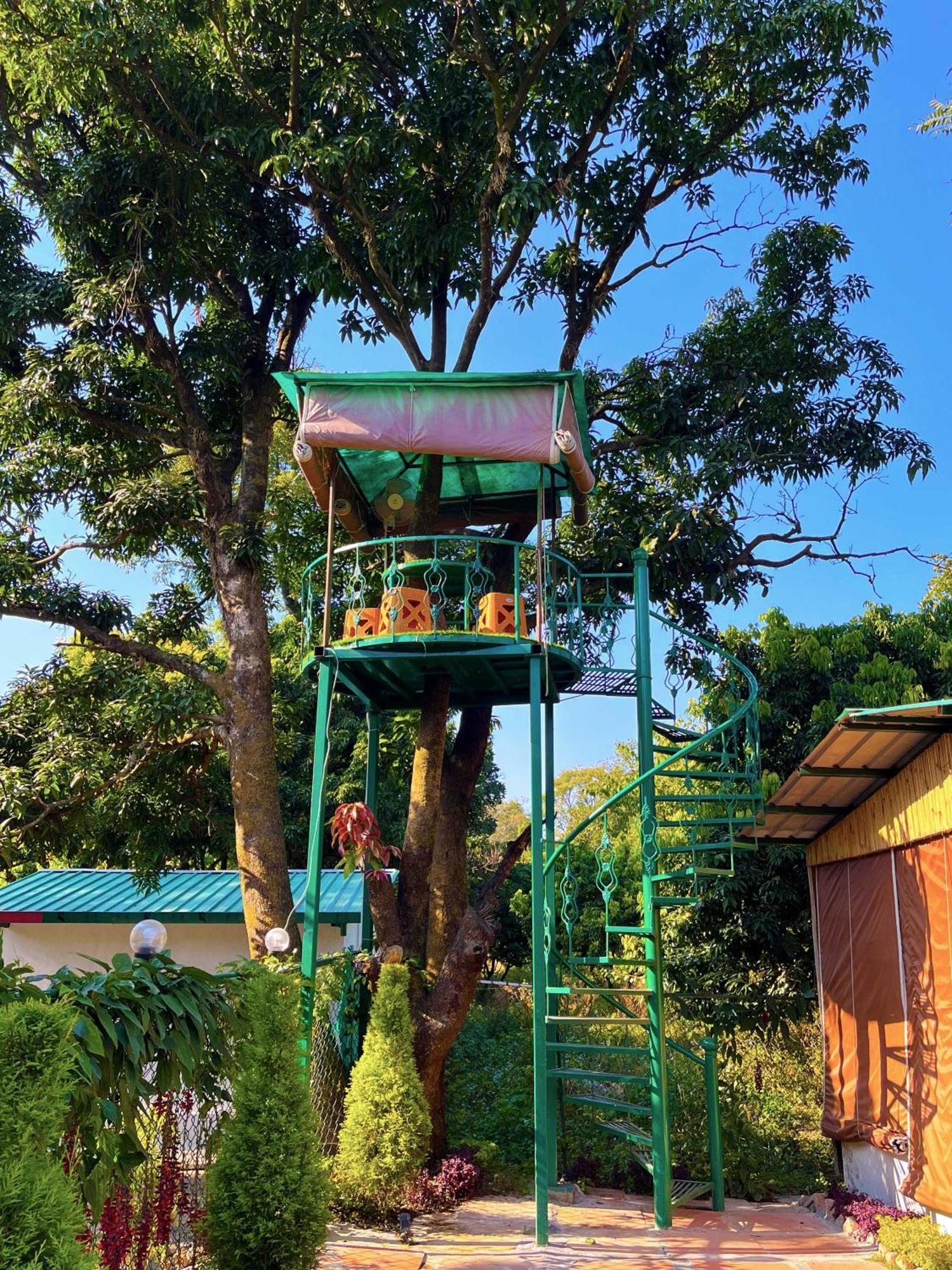 Hotel O Royal Tree Cafe And Resort Ντεχραντούν Εξωτερικό φωτογραφία